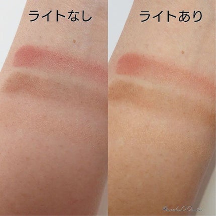 パウダーアイブロウX/KiSS/パウダーアイブロウを使ったクチコミ(5枚目)