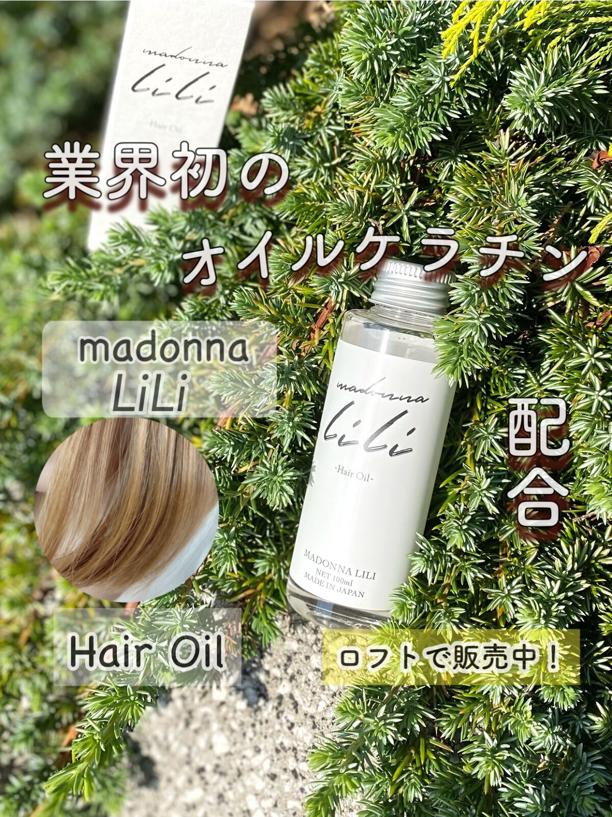 マドンナ リリ ヘアオイル/MADONNA LILI/ヘアオイルを使ったクチコミ(1枚目)