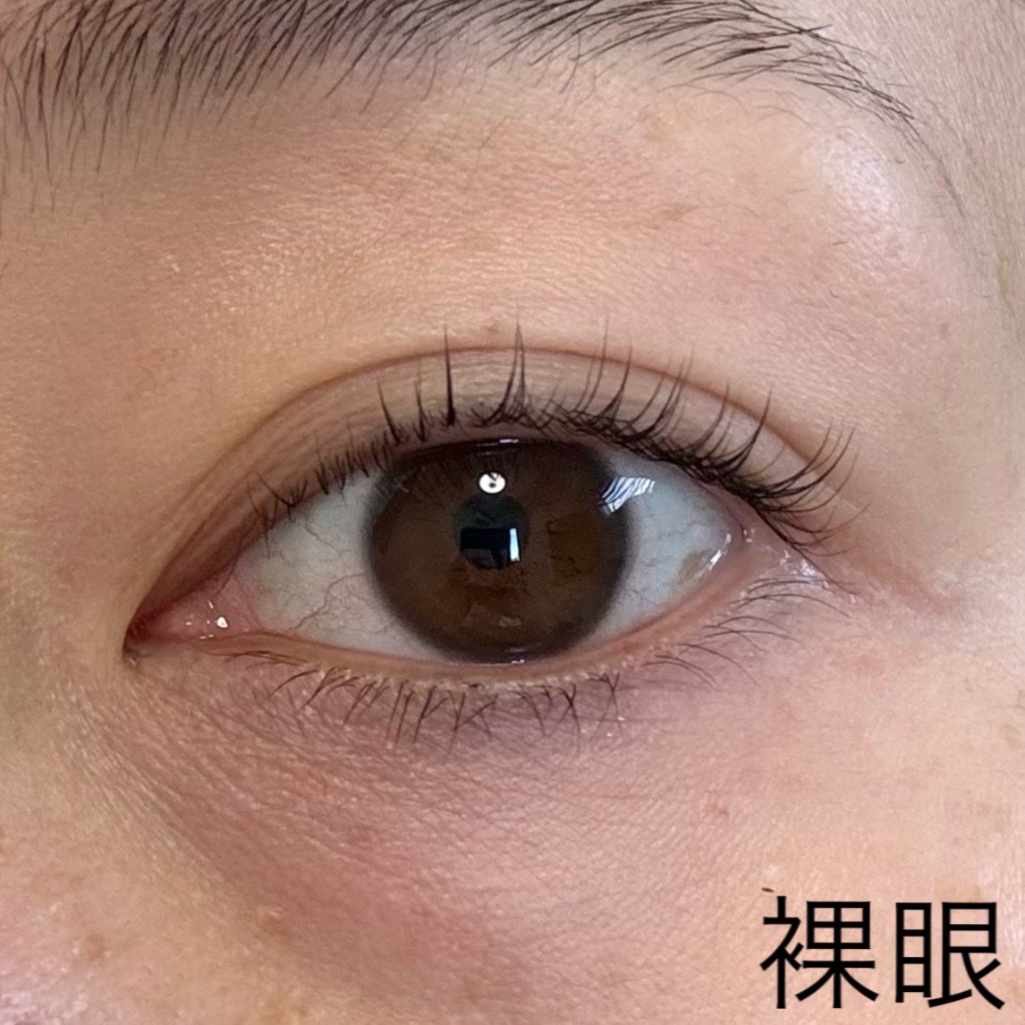 Glowy 1day/OLENS/ワンデー(1DAY)カラコンを使ったクチコミ(6枚目)