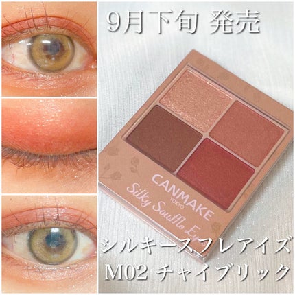シルキースフレアイズ(マットタイプ)/キャンメイク/アイシャドウパレットを使ったクチコミ(1枚目)