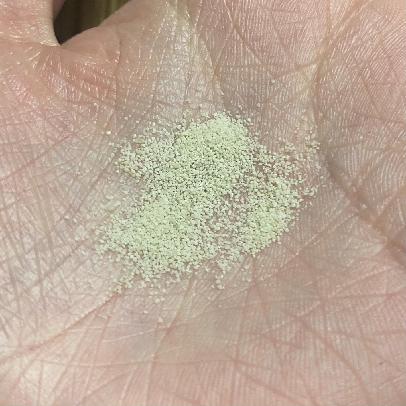 グリーン クレイ酵素クレンザー/SKIN SIGNAL/洗顔パウダーを使ったクチコミ(3枚目)