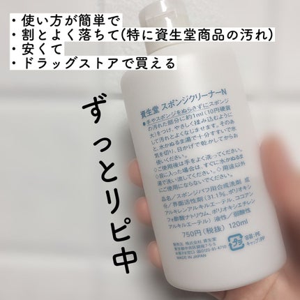 スポンジクリーナーN 198 (L)/SHISEIDO/その他化粧小物を使ったクチコミ(2枚目)