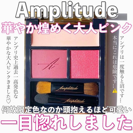 コンスピキュアス アイズ/Amplitude/アイシャドウパレットを使ったクチコミ(1枚目)