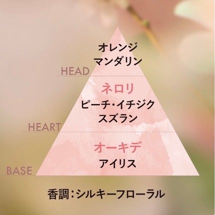 オーキデ プレミアムハンドクリーム/L'OCCITANE/ハンドクリームを使ったクチコミ(2枚目)