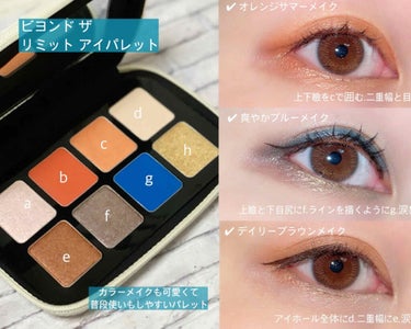 ビヨンド ザ リミテッド アイパレット/shu uemura/アイシャドウパレットを使ったクチコミ（2枚目）