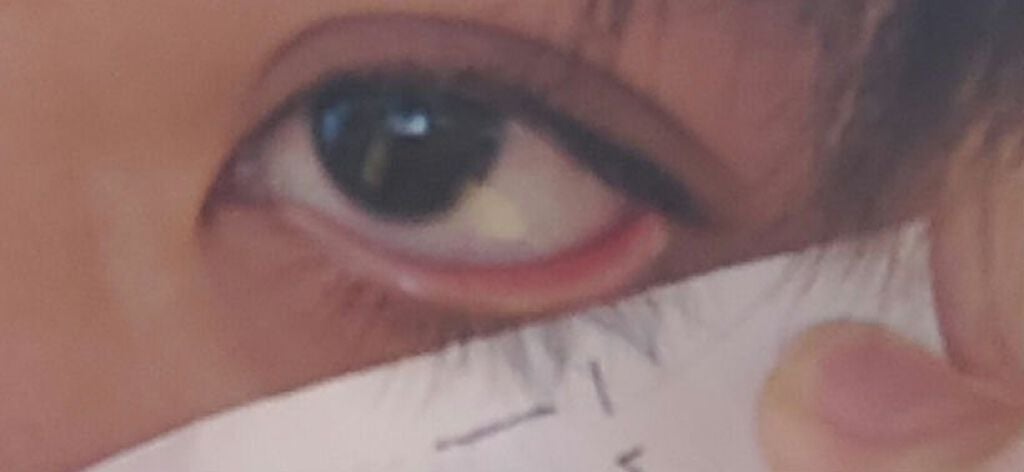 EMAKED(エマーキット)/水橋保寿堂製薬/まつげ美容液を使ったクチコミ(3枚目)