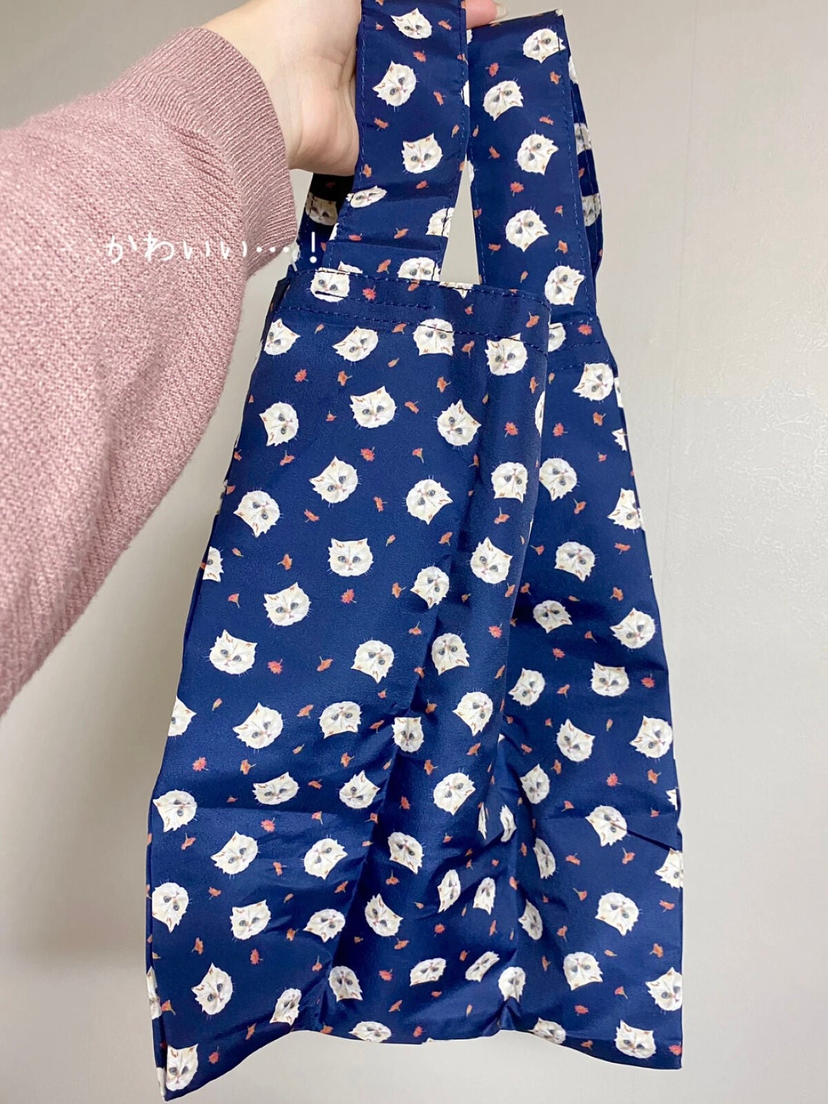 ã»ããŠðãã©ãã(æçš¿ããæ¹) on LIPS ãã³ã¹ã¡ã ããããªãâ¡PAUL&JOEâ¡å¯æãããå°ç©ãã¡ððŸâ..ãïŒ7æç®ïŒ