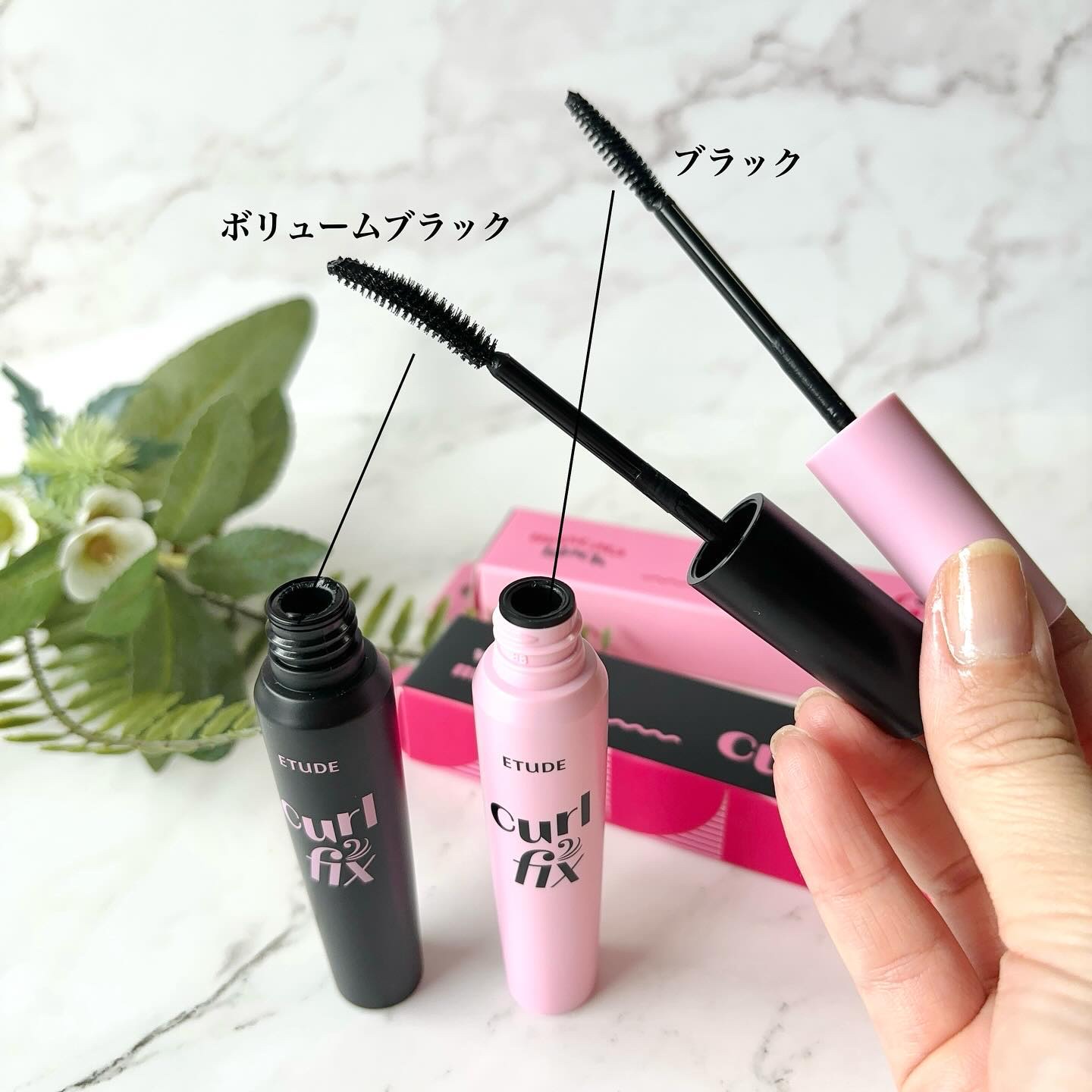 カールフィックスマスカラ/ETUDE/マスカラを使ったクチコミ（3枚目）