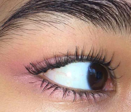 Pressed Powder Shadow /ColourPop/アイシャドウパレットを使ったクチコミ(3枚目)