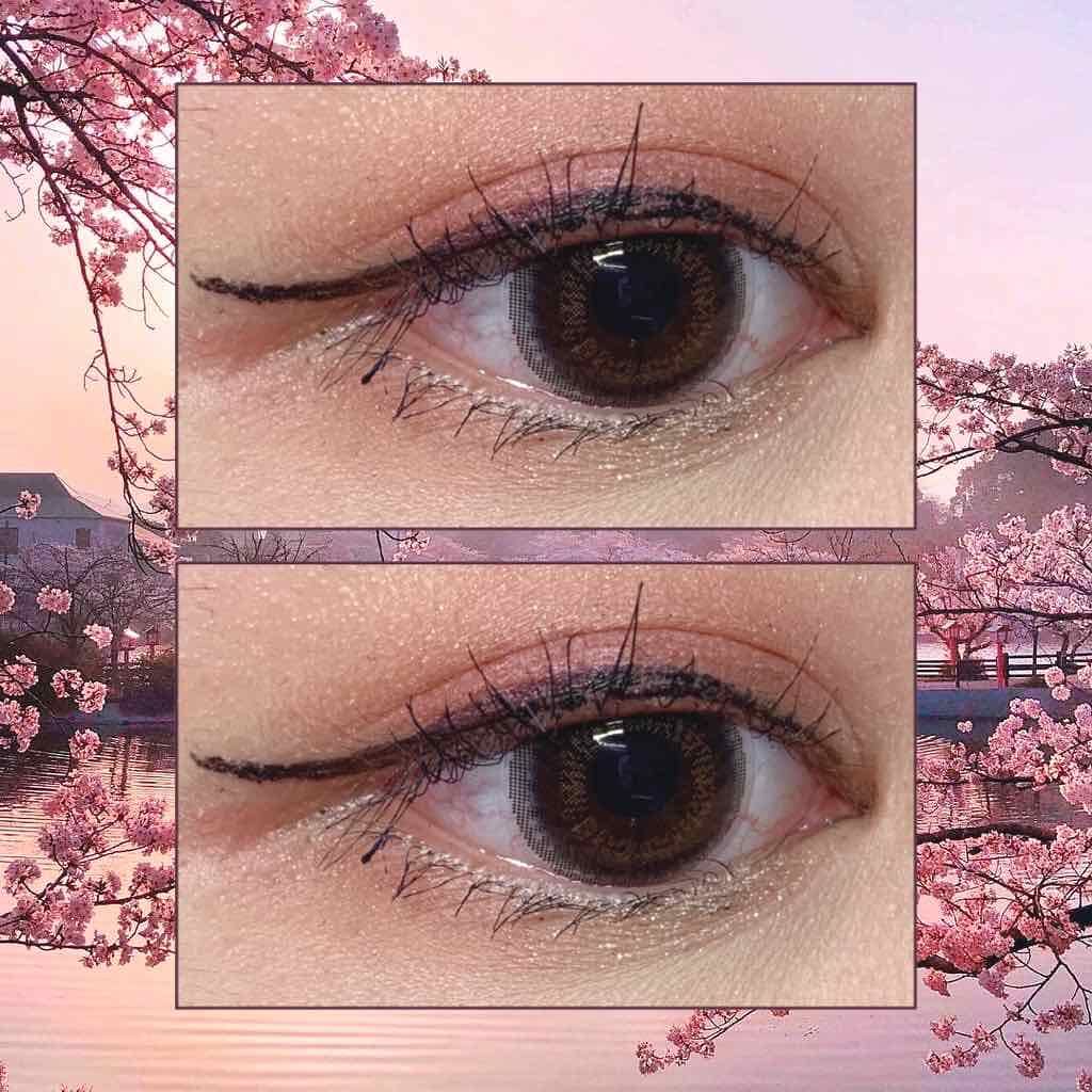 ベルサイユのばら リキッドアイライナー 漆黒ブラック/クレアボーテ/リキッドアイライナーを使ったクチコミ（1枚目）