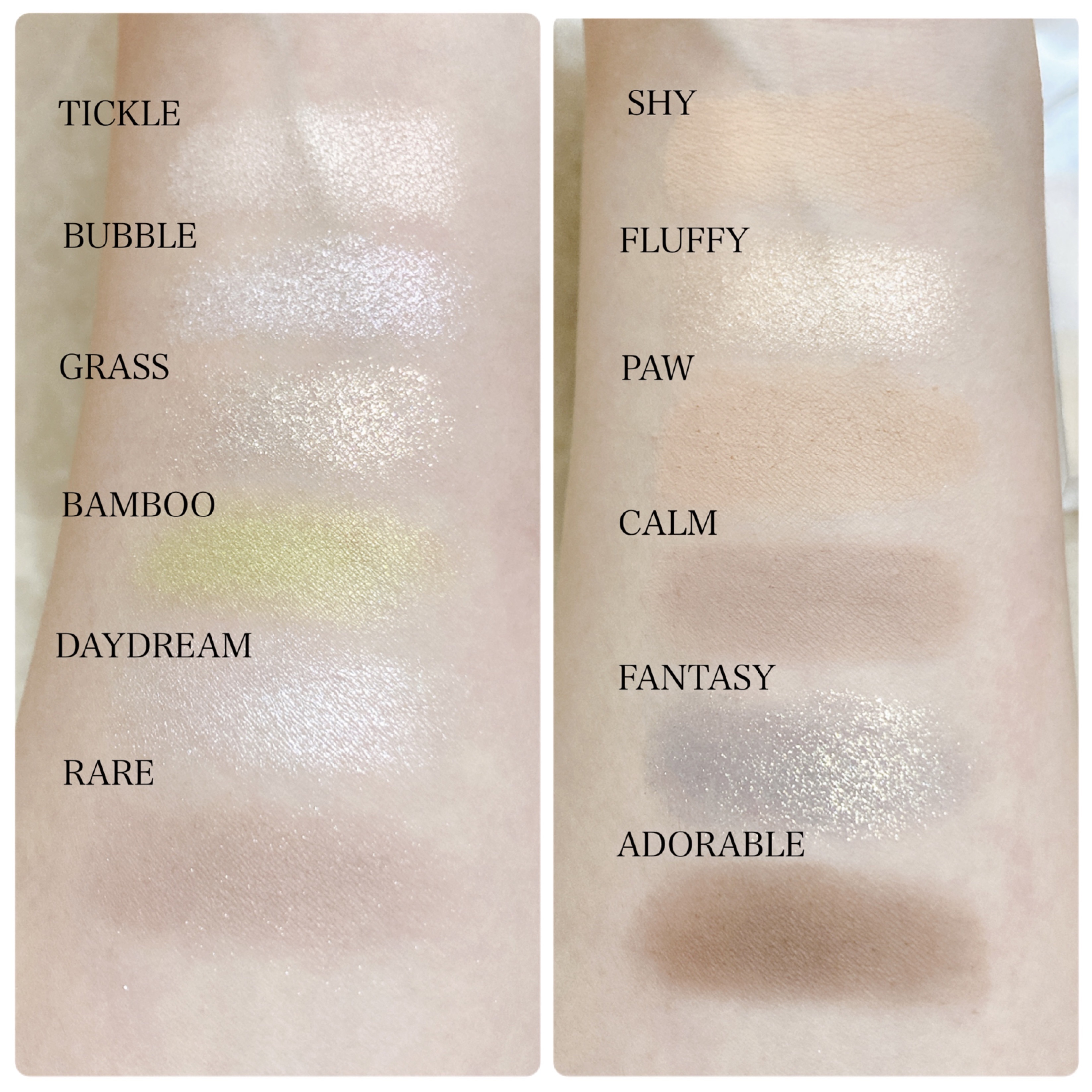 エクスプローラ12色 動物アイシャドウパレット/PERFECT DIARY/アイシャドウパレットを使ったクチコミ（2枚目）