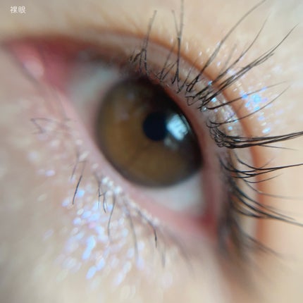 FALOOM 1DAY シークレットチュチュブラウン/FALOOM/ワンデー(1DAY)カラコンの画像