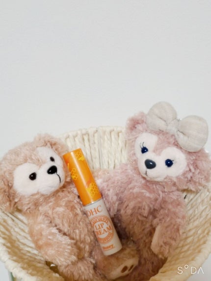 香るモイスチュアリップクリーム はちみつ/DHC/リップクリームを使ったクチコミ(1枚目)