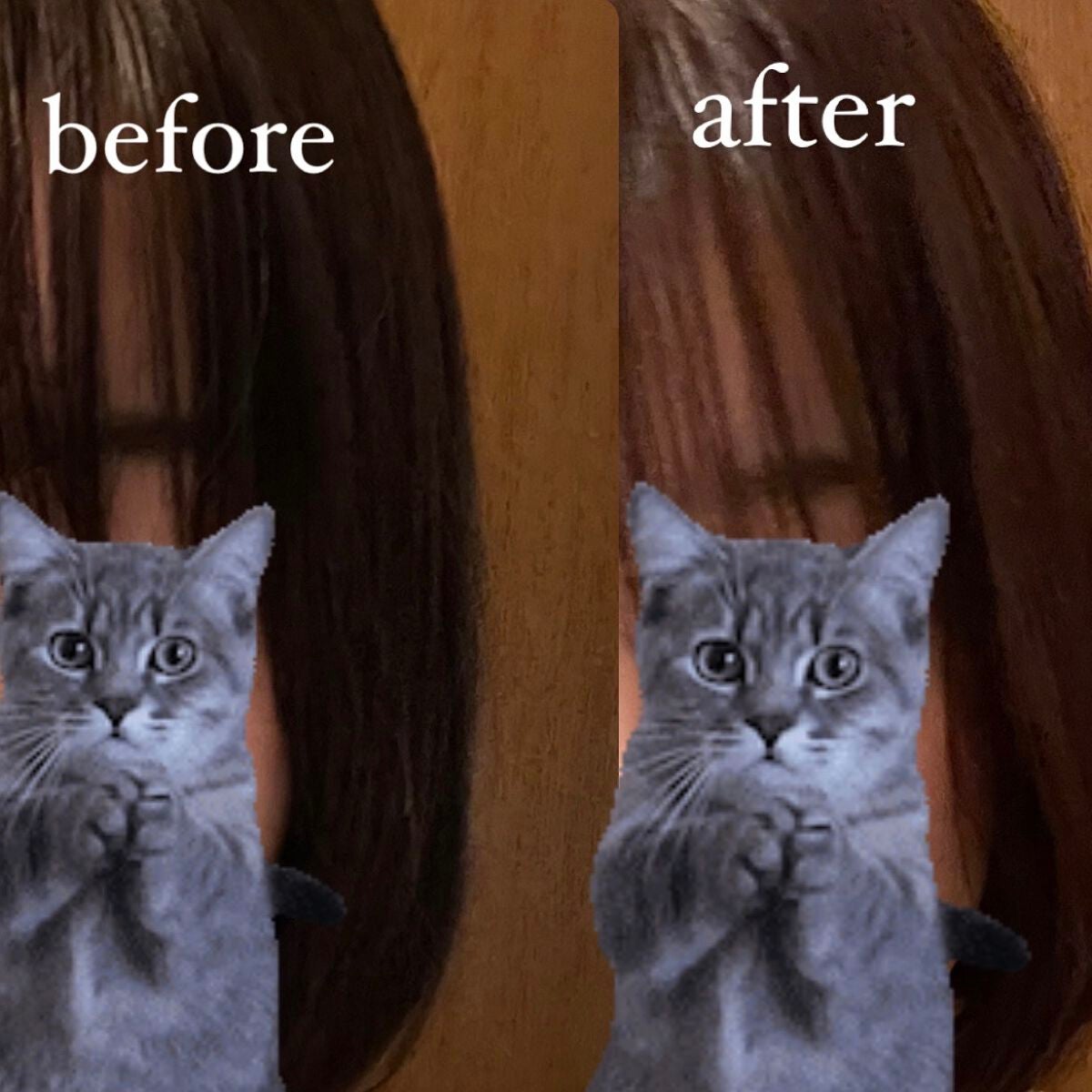 ミルクジャムヘアカラー/ルシードエル/ヘアカラーを使ったクチコミ(1枚目)