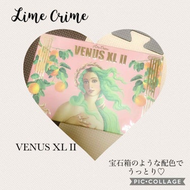 ライム クライム ヴィーナス XL パレット/Lime Crime(海外)/パウダーアイシャドウを使ったクチコミ（1枚目）