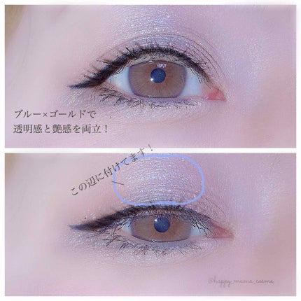 プリズムカラーピグメント/Witch's Pouch/単色アイシャドウを使ったクチコミ(3枚目)