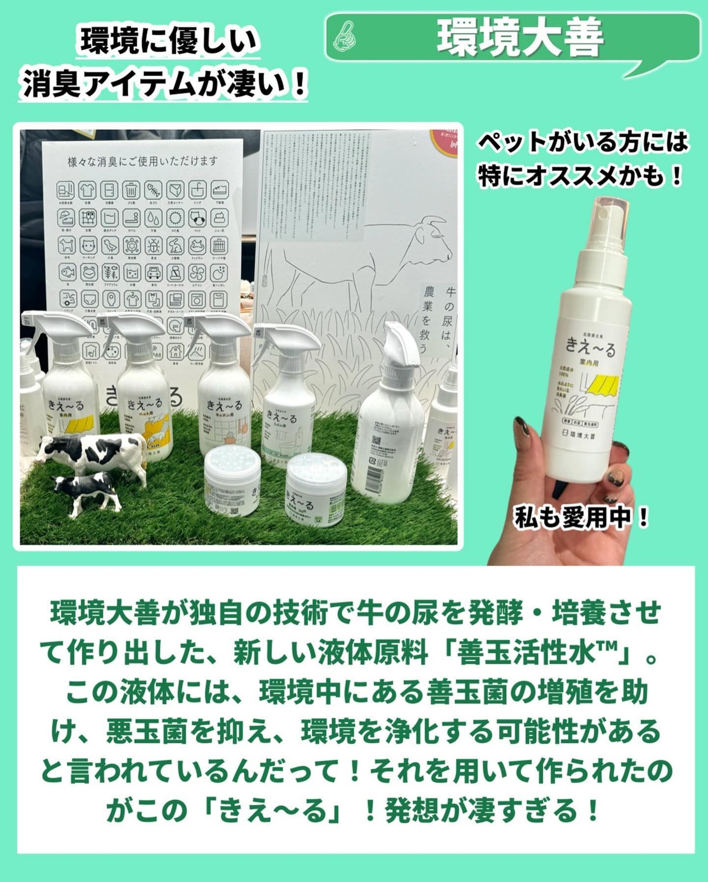 おゆたん on LIPS 「【雑貨のチカラで、暮らしと地球をしあわせに】を掲げ、全国のロフ..」(7枚目)