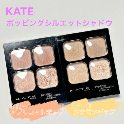 ケイト ポッピングシルエットシャドウ/KATE/アイシャドウパレットを使ったクチコミ(2枚目)