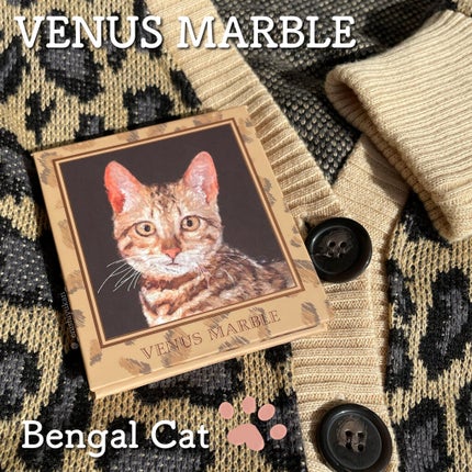 Venus Marble アイシャドウキャットシリーズ/Venus Marble/アイシャドウパレットを使ったクチコミ(1枚目)