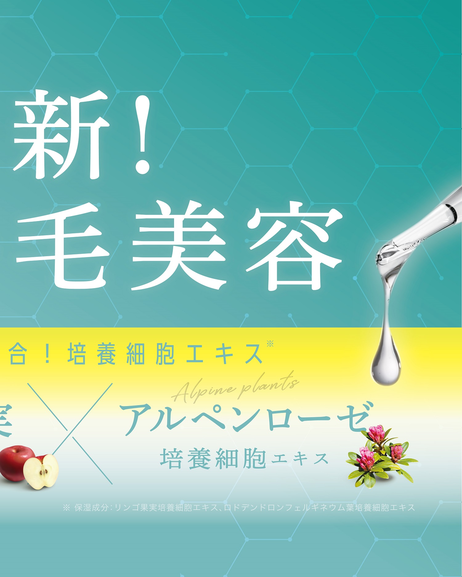 アヴァンセ まつ毛美容液/アヴァンセ/まつげ美容液を使ったクチコミ（3枚目）