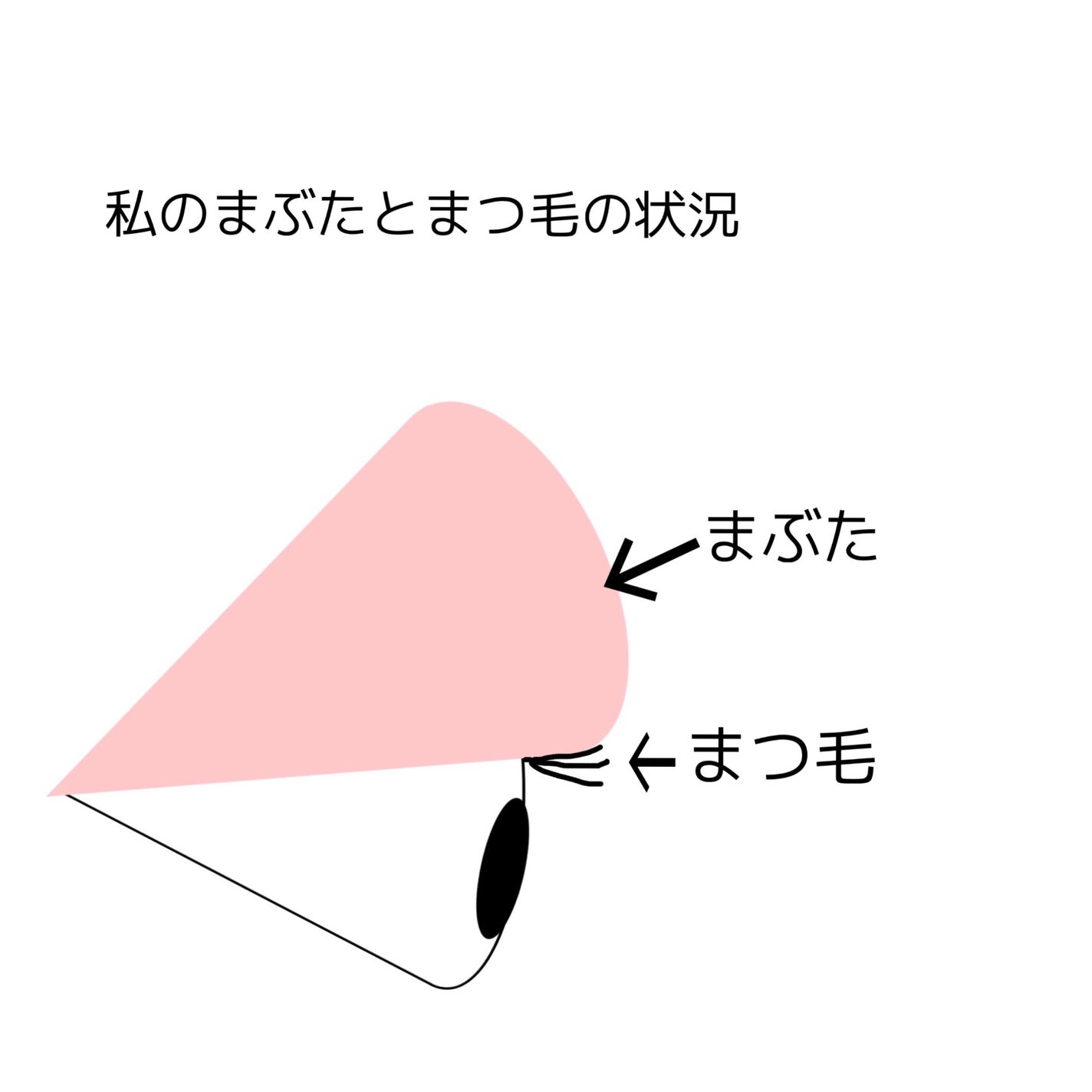 クイックラッシュカーラー/キャンメイク/マスカラ下地を使ったクチコミ(3枚目)