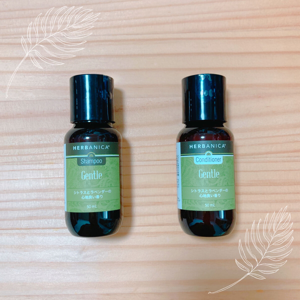 シャンプー ジェントル／コンディショナージェントル/ハーバニカ/市販シャンプーを使ったクチコミ（1枚目）