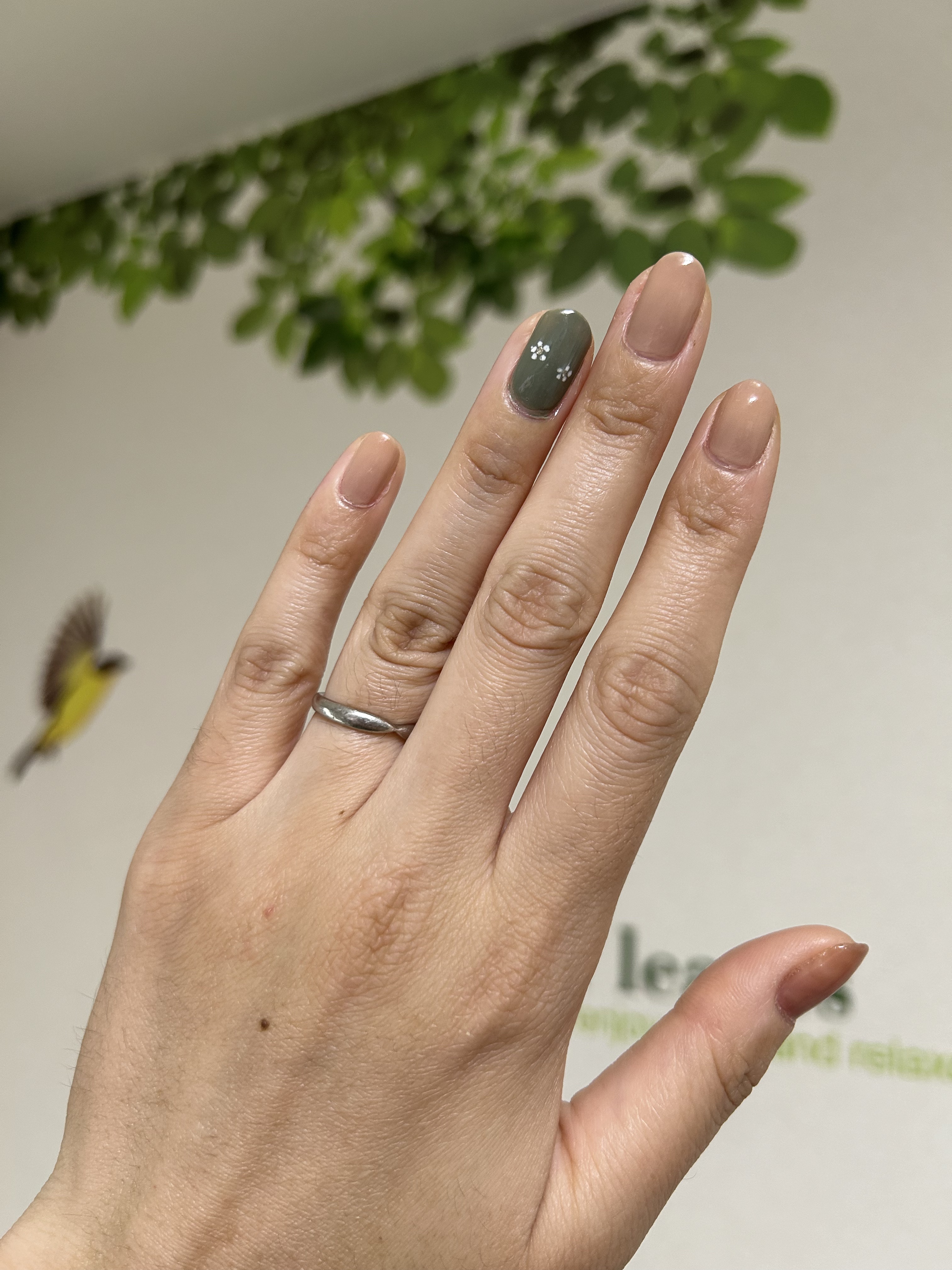 カラフルネイルズ/キャンメイク/マニキュアを使ったクチコミ（1枚目）