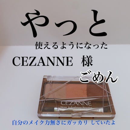 ノーズ&アイブロウパウダー/CEZANNE/パウダーアイブロウを使ったクチコミ(1枚目)