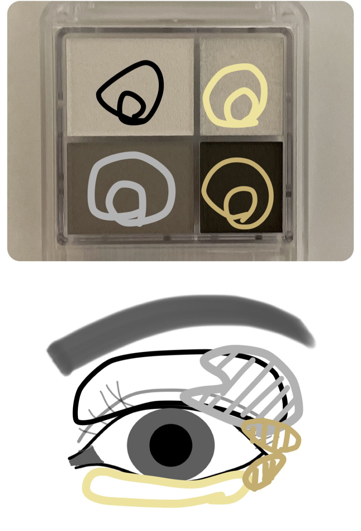 グラデーション アイシャドウ/ちふれ/アイシャドウパレットを使ったクチコミ（2枚目）