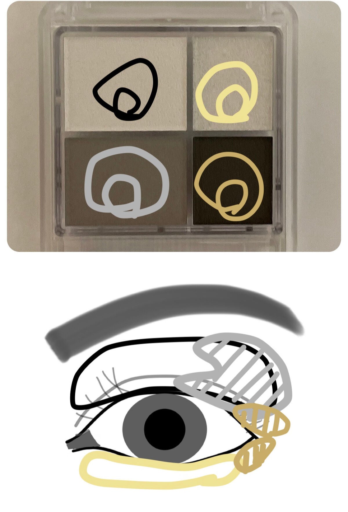 グラデーション アイシャドウ/ちふれ/アイシャドウパレットを使ったクチコミ(2枚目)