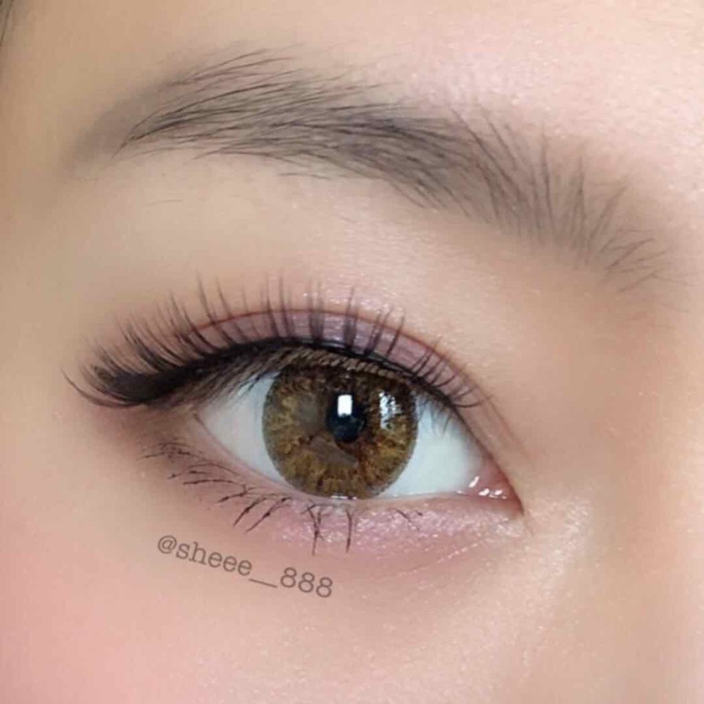 クリエイティブ アイカラー/ALBION/アイシャドウパレットを使ったクチコミ(2枚目)