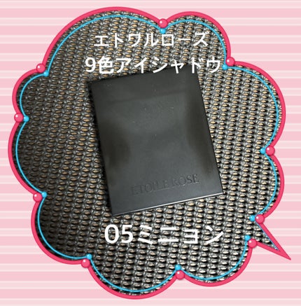 エトワルローズ 9色アイシャドウ 05 ミニョン/Étoile Rose/アイシャドウパレットを使ったクチコミ(1枚目)