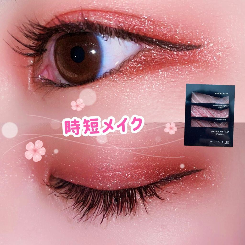 パーツリサイズシャドウ/KATE/アイシャドウパレットを使ったクチコミ(1枚目)