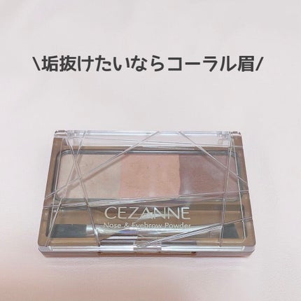 ノーズ&アイブロウパウダー/CEZANNE/パウダーアイブロウを使ったクチコミ(1枚目)