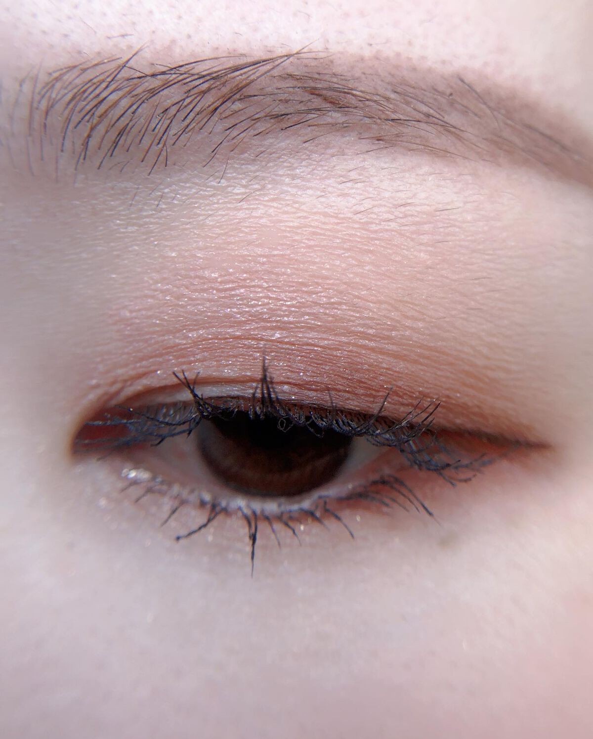 シルキースフレアイズ(マットタイプ)/キャンメイク/アイシャドウパレットを使ったクチコミ(6枚目)