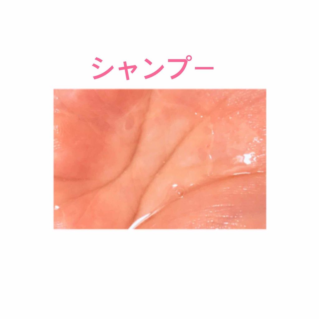 シャンポ／トラッタメント/placiena/シャンプー・コンディショナーを使ったクチコミ（2枚目）