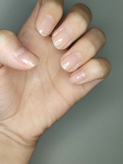 を使ったクチコミ(1枚目)