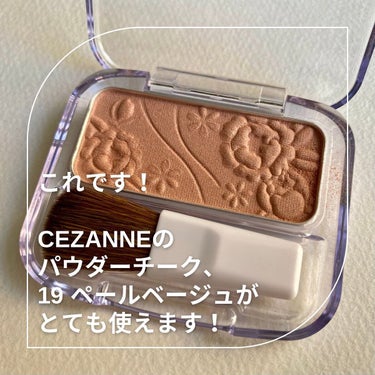 ナチュラル チークN 19 ペールベージュ/CEZANNE/パウダーチークを使ったクチコミ（2枚目）