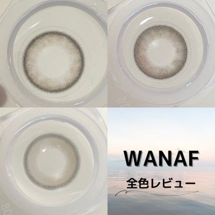 WANAF 1day/WANAF/ワンデー(1DAY)カラコンを使ったクチコミ(1枚目)