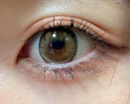 MOLAK 1day/MOLAK/ワンデー(1DAY)カラコンを使ったクチコミ(1枚目)