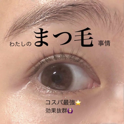 まつげ美容液EX/CEZANNE/まつげ美容液を使ったクチコミ(1枚目)