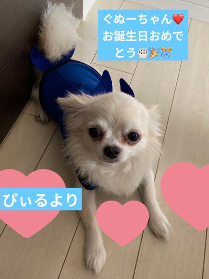 プロ アイ パレット/CLIO/アイシャドウパレットを使ったクチコミ(6枚目)