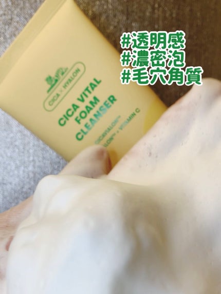 シカバイタル フォームクレンザー/VT/洗顔フォームを使ったクチコミ(1枚目)