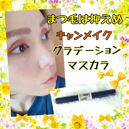 レイヤードルックマスカラ/キャンメイク/マスカラを使ったクチコミ(1枚目)