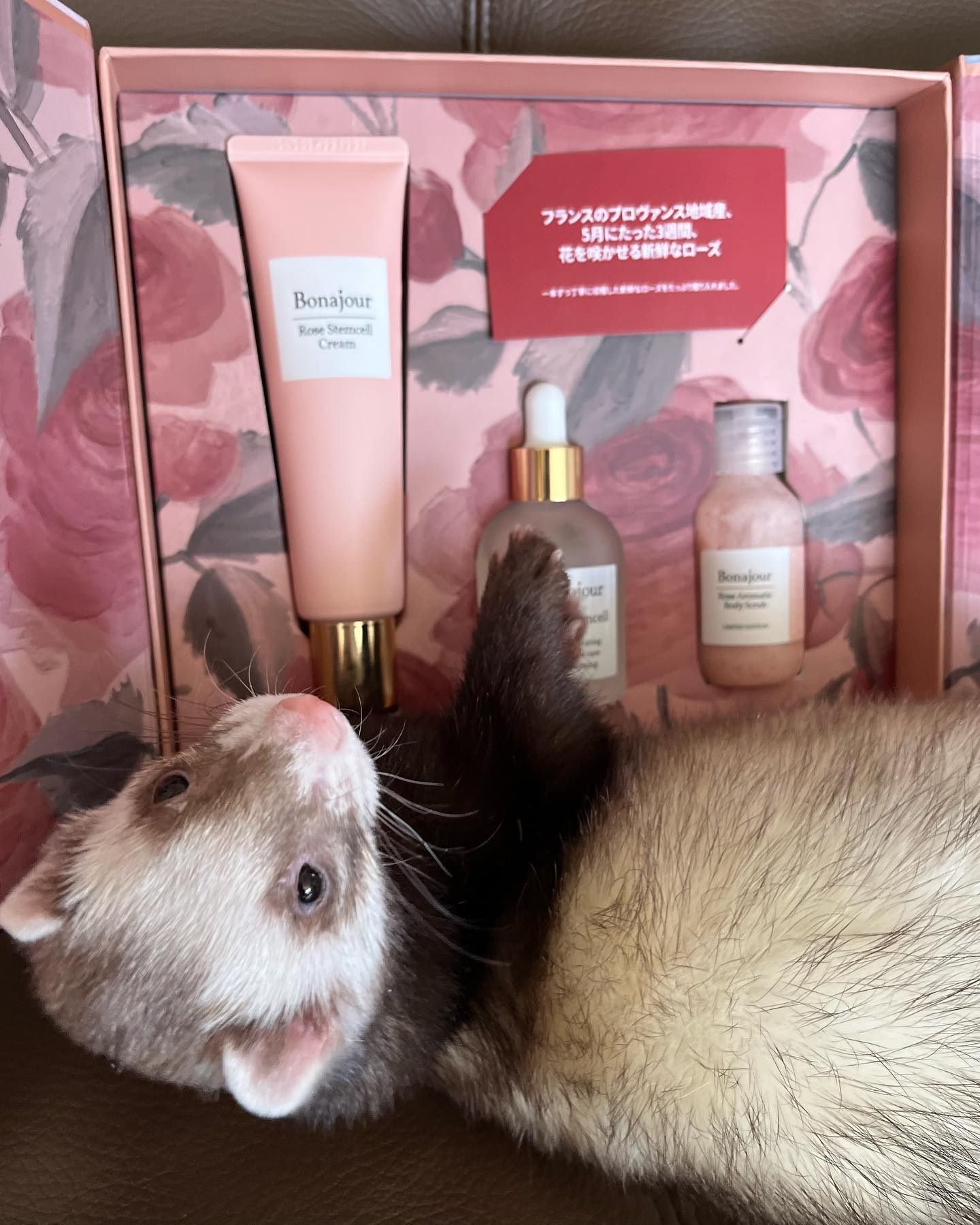 ローズステムセルセラム/Bonajour/美容液を使ったクチコミ（3枚目）