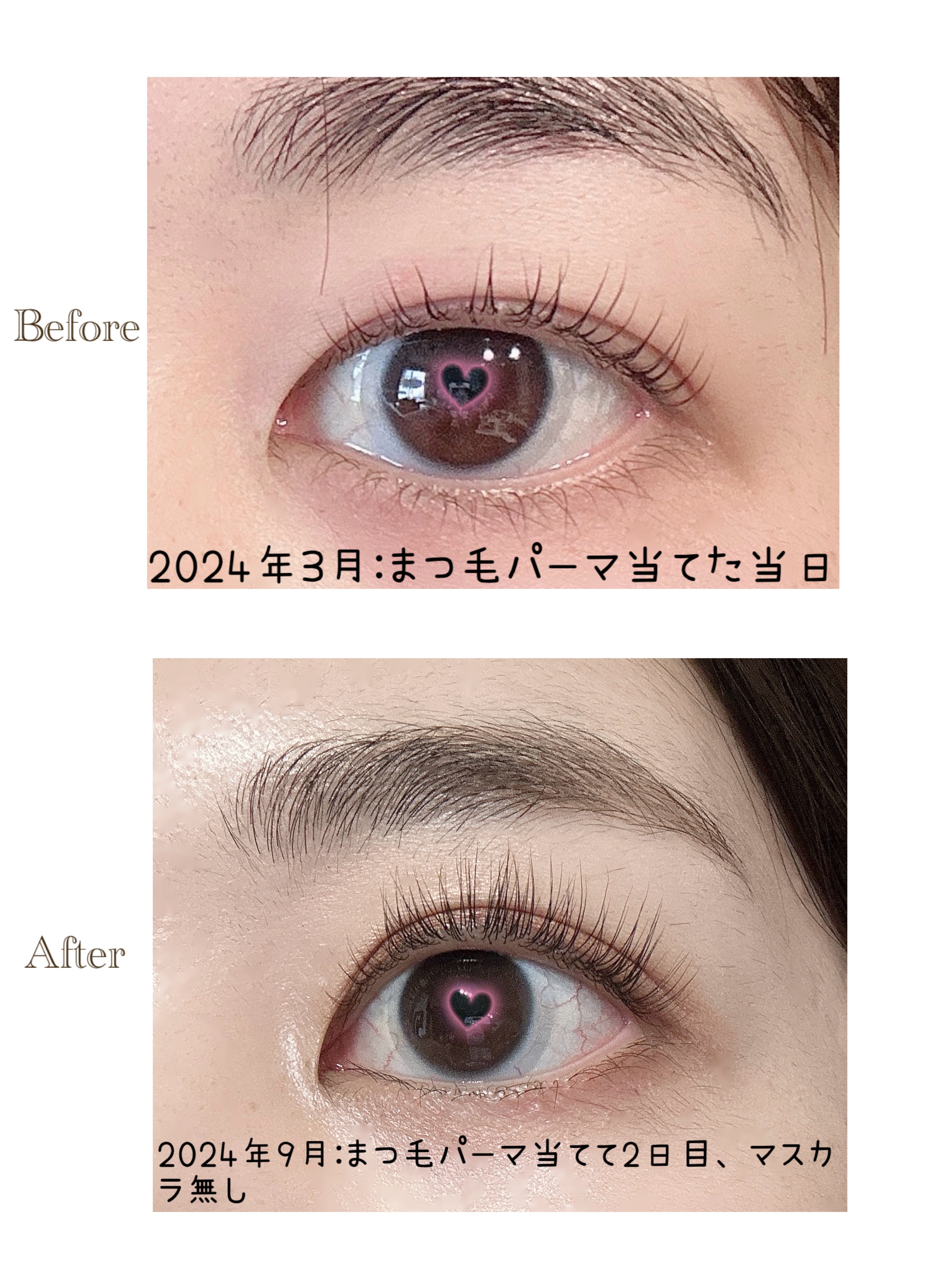 ラッシュジェリードロップ EX プレミアム/MAJOLICA MAJORCA/まつげ美容液を使ったクチコミ（2枚目）