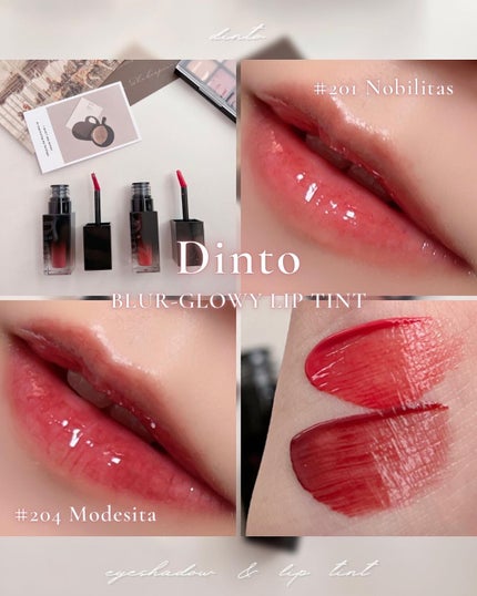 ブラーフィニシュシャドウパレット/Dinto/アイシャドウパレットを使ったクチコミ(9枚目)