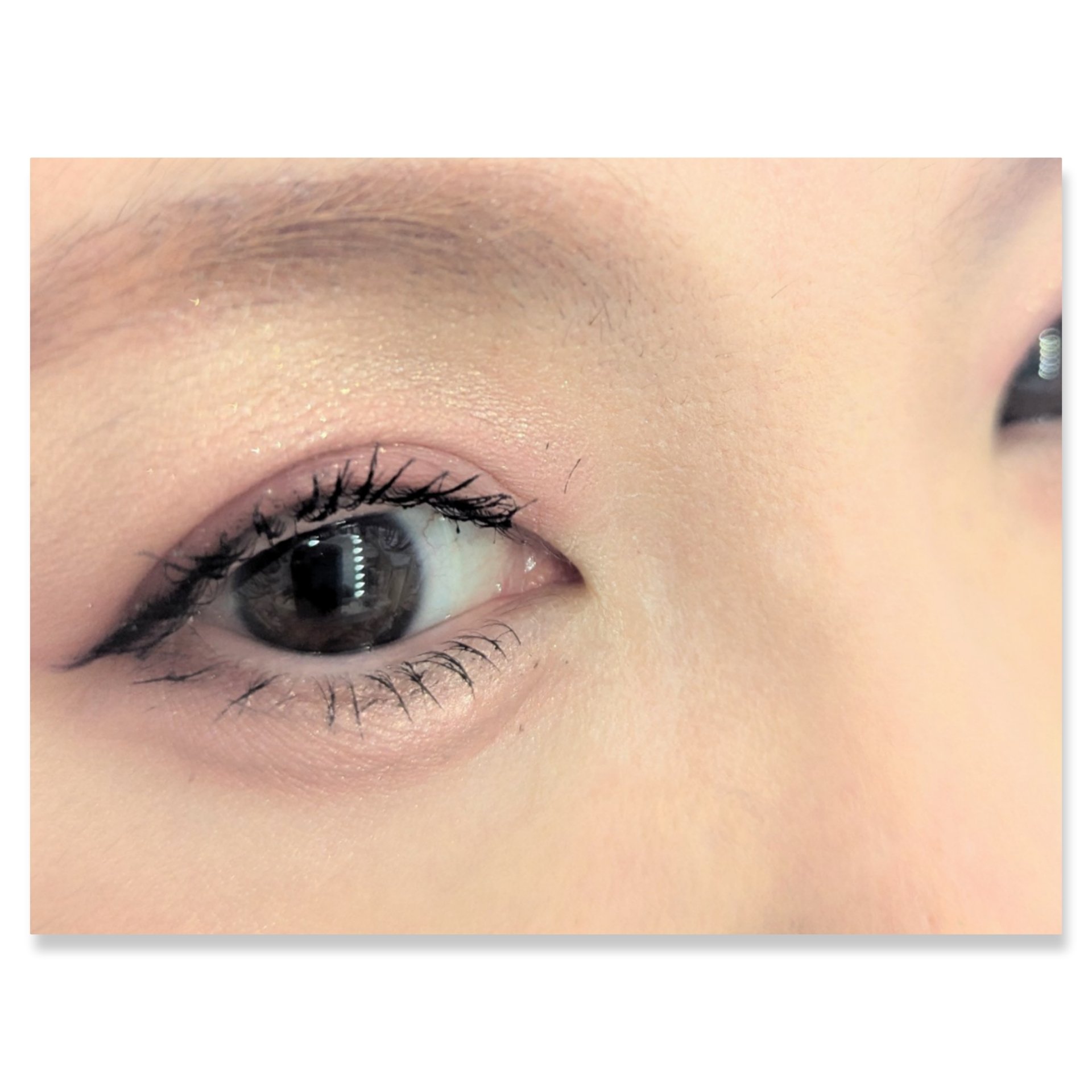 ジューシーピュアアイズ/キャンメイク/アイシャドウパレットを使ったクチコミ（2枚目）