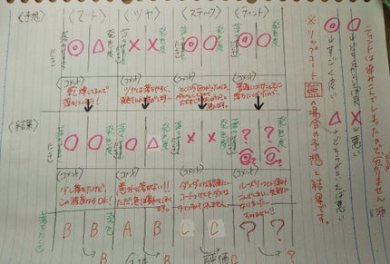 ラスティンググロスリップ/CEZANNE/口紅を使ったクチコミ(6枚目)