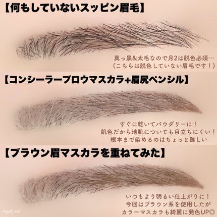 コンシーラーブロウマスカラ/キャンメイク/その他アイブロウを使ったクチコミ(5枚目)